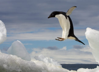 Markets turn green post rumors of corona virus treatment availability NASDAQ_top_stocks