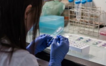 Protalix Biotherapeutics Inc. (NYSEAMERICAN: PLX) and Cheisi Global Rare Disease Receive Type A Meeting Minutes Regarding PRX-102 BLA resubmission