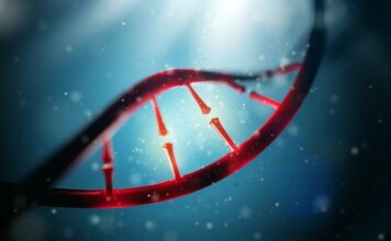 Why Stemsation International Inc (OTCMKTS:STSN) Shares are Taking Off