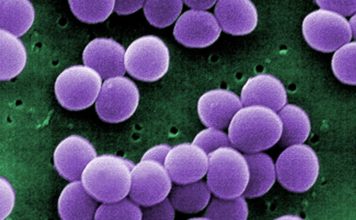 Cancer is Still the Real Global Health Crisis… Four Stocks with Answers (EXEL, BMY, NBIO, MRK)