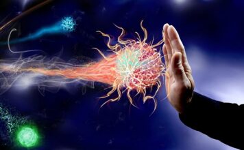 Sports Stocks Approach Breakout Potential (CHDN, WWE, BTDG, MSGS)