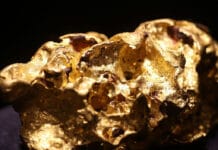 Free Money to Drive Gold Stocks in 2021? (KGC, GOLHF, NGD)